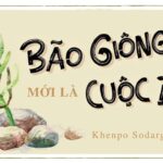 [Sách nói] Bão Giông Mới Là Cuộc Đời – Chương 1  Khenpo Sodargye